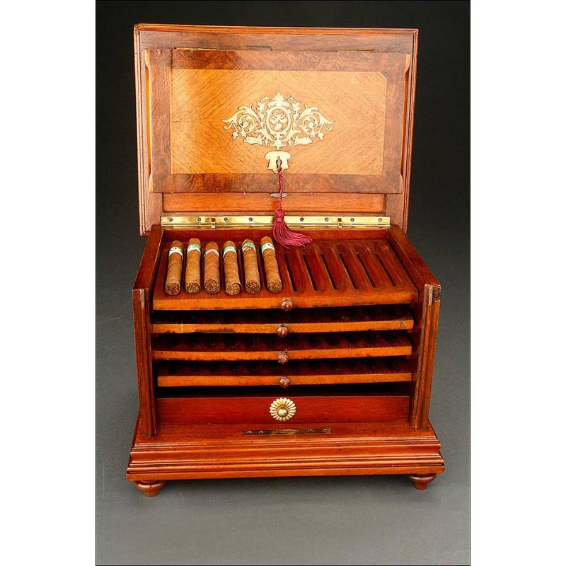 Antiguo Humidor para Puros en Excelente Estado de Conservación. Siglo XIX