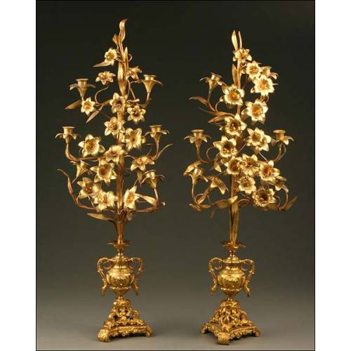 Pair of Candlesticks in Bronze, S. XIX