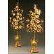 Pair of Candlesticks in Bronze, S. XIX