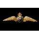 Antique Royal Flying Corps Badge in 18K Solid Gold. England, 1914-18