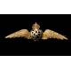 Soberbia Insignia Antigua del Royal Flying Corps en Oro Macizo de 18K. Inglaterra, 1914-18