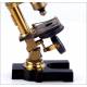 Antique Compound Microscope. C. 1880