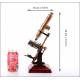 Rare Antique Microscope from XIX Century.