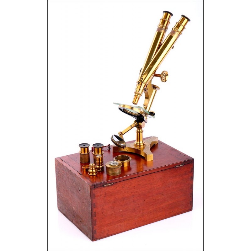 Antique Binocular Microscope R. & J. Beck, 1880