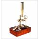 Antique Antique Cary Gould Type Microscope, England. 1850