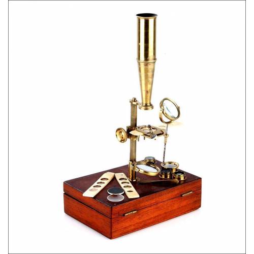 Antique Antique Cary Gould Type Microscope, England. 1850