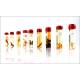 Antique Collection of Specimens in Formalin