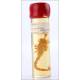 Antique Collection of Specimens in Formalin