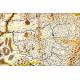 Map of Navarra Antique. 1638