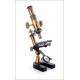 Antique Nachet Microscope. Compound. 1900