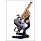 Antique Carl Zeiss Microscope, 1920