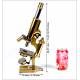Antique R. & J. Beck Brass Microscope. & J. Beck. England, Circa 1900