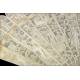 Antique Chinese Carved Ivory Fan. 19th Century