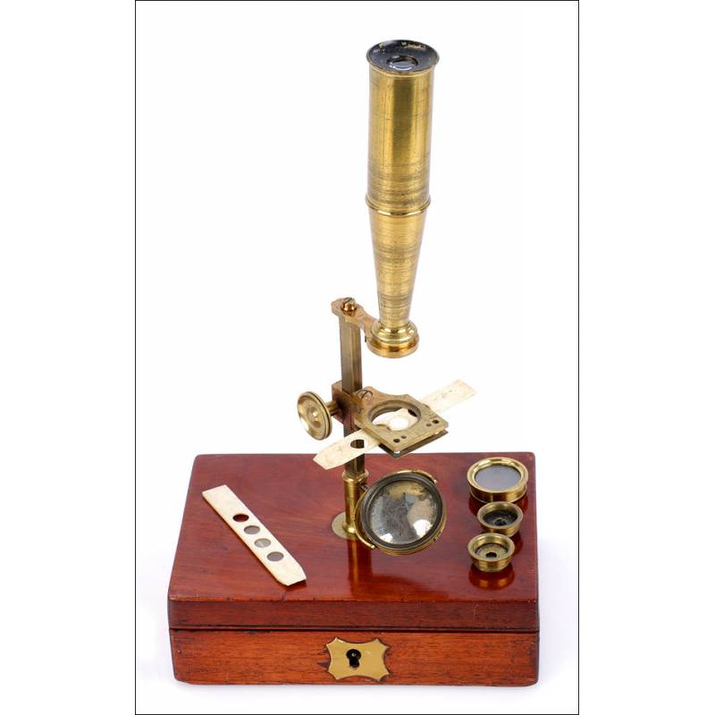 Antique Cary Type Compound Microscope. England, Circa 1850