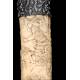 Antique Japanese Tanto or Wakishazi in Carved Ivory. Japan, S. XIX