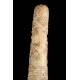 Antique Japanese Tanto or Wakishazi in Carved Ivory. Japan, S. XIX