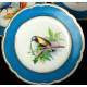 14 Antique Old Paris Porcelain Pieces. Birds. France, Circa 1900