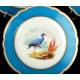 14 Antique Old Paris Porcelain Pieces. Birds. France, Circa 1900