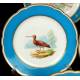 14 Antique Old Paris Porcelain Pieces. Birds. France, Circa 1900