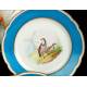 14 Antique Old Paris Porcelain Pieces. Birds. France, Circa 1900