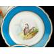 14 Antique Old Paris Porcelain Pieces. Birds. France, Circa 1900