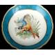 14 Antique Old Paris Porcelain Pieces. Birds. France, Circa 1900