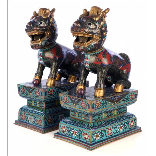 Pair of antique Chinese Cloissoné Fo Lions. China, Circa 1920