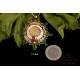 Grand Cross of the Order of Agricultural Merit. Franco era. Spain