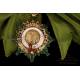 Grand Cross of the Order of Agricultural Merit. Franco era. Spain