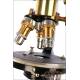 Fantastic Antique Waldemar Strauss Microscope. Berlin, Germany, Circa 1910