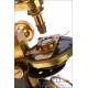 Antique Walter Lawley English Compound Microscope. England, Circa 1880