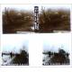 40 Stereoviews 45x107. World War I. France, Circa 1914