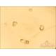 Antiguo Reloj de Bolsillo Ingles French Royal Exchange en Oro 18K. Inglaterra, 1842