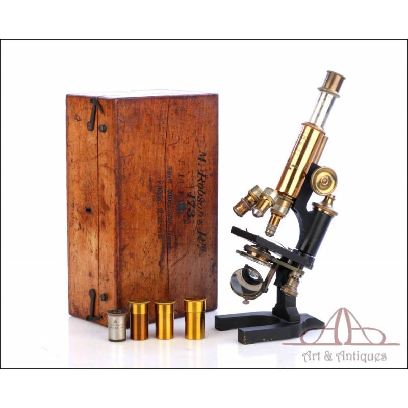 Antique Reichert Stand III Microscope. British Museum. Germany, 1920