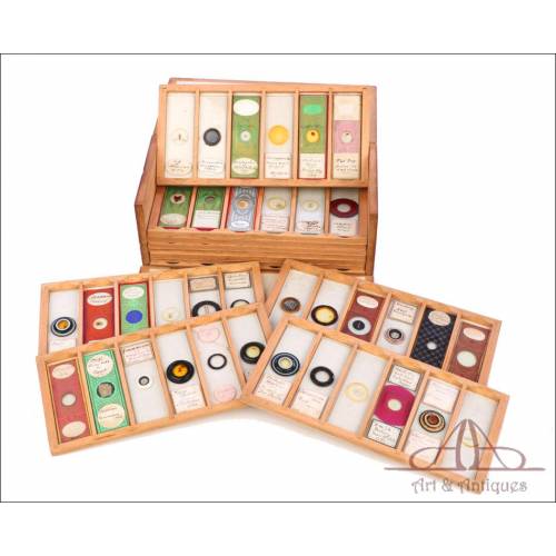 Collection of 72 Antique Microscope Slides. 19th and 20th Centuries.