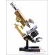 Antique Bausch & Lomb Microscope. Germany, Circa 1900