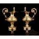 Antique Gilt Silver Cruet Set. France, 19th Century. 100% Silver