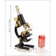 Amazing Antique Professional Leitz Wetzlar Microscope. Germany, 1906