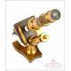 Rare Antique Nachet Microscope. France, Circa 1900