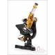 Mint Antique Leitz Wetzlar Microscope. Germany, 1930