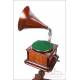 Antique Gramophone with Wooden Horn and Stand. Circa 1920