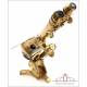 Extraordinary Antique Binocular Microscope. Super Complete. England, Circa 1880