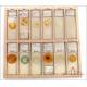 Great Collection of 144 Antique Microscope Slides. England, 19th Century