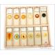 Great Collection of 144 Antique Microscope Slides. England, 19th Century