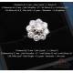 Rosette ring with 9 diamonds in 18K white gold, with certificate
