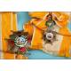 Spain. Order of Isabel the Catholic. With its case.