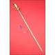 Austro-Hungarian Infantry Officer's Sword, XIX Century.