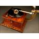 Decorative Opera Gramophone from 1910-1920. In superb working condition.