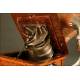 Antique Early 20th Century Gramophone, Circa 1910. Gramophone & Typewriter Company.