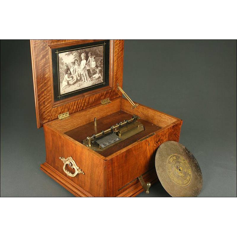 1800 shop music box